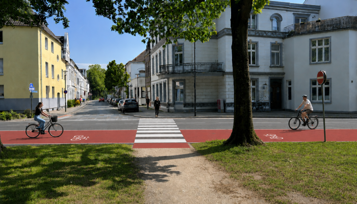 Zebrastreifen Ring1